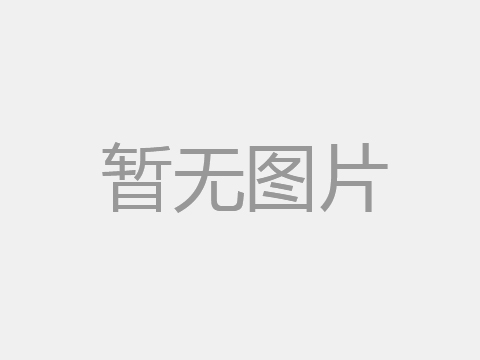 全向背负举升式AGV